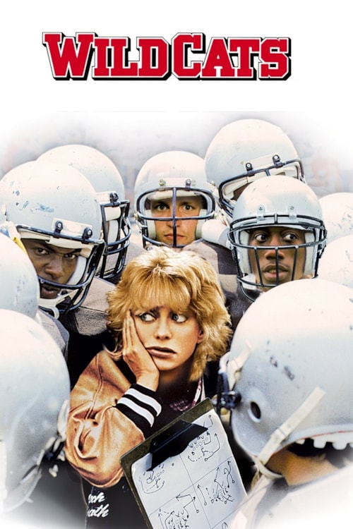 Wildcats poster